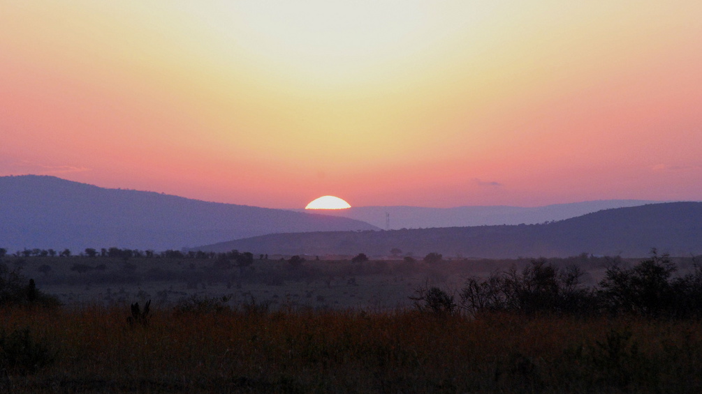 Små skritt er store