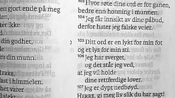 «Bibelglede i mars»