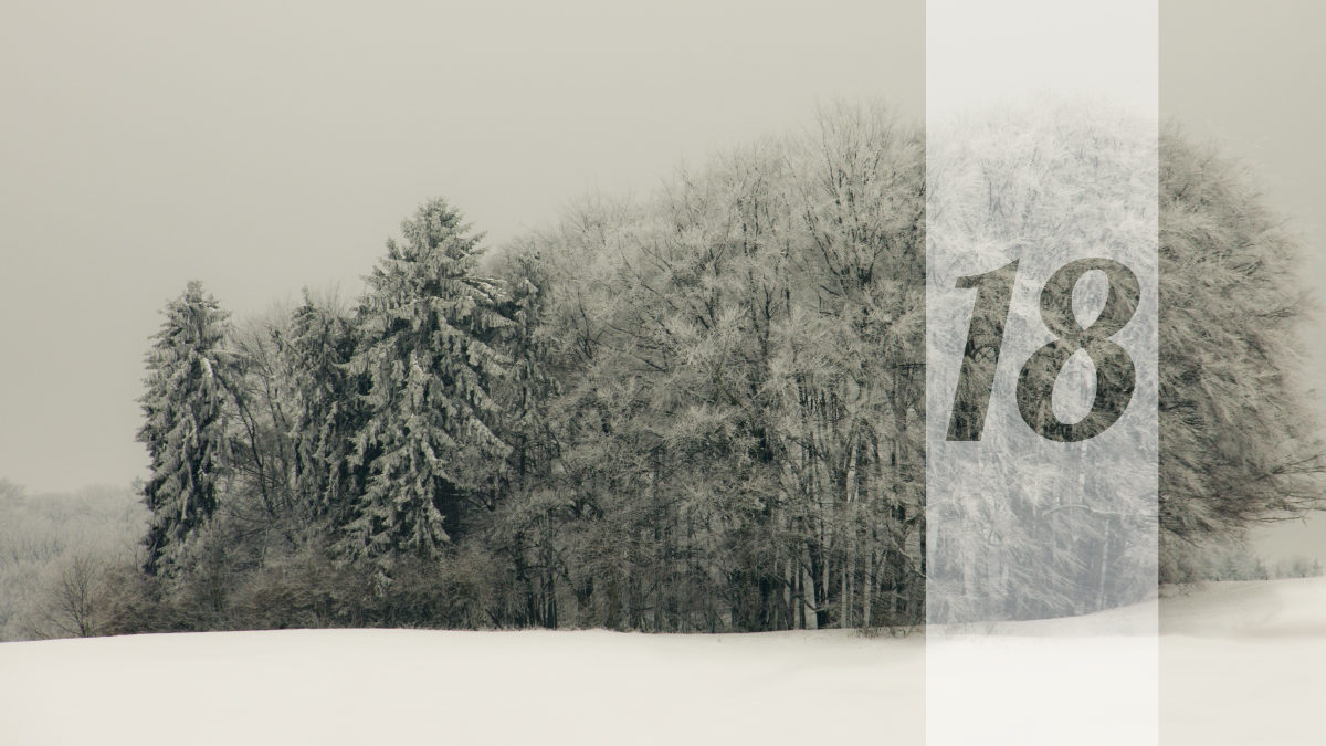 18. desember