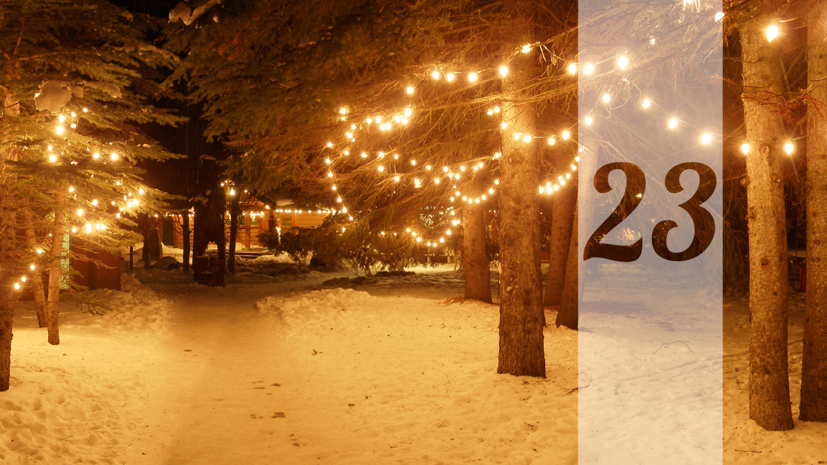 23. desember