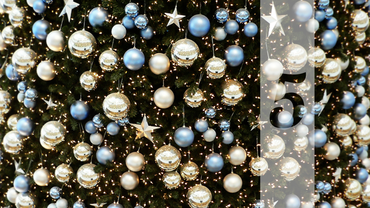 5. desember