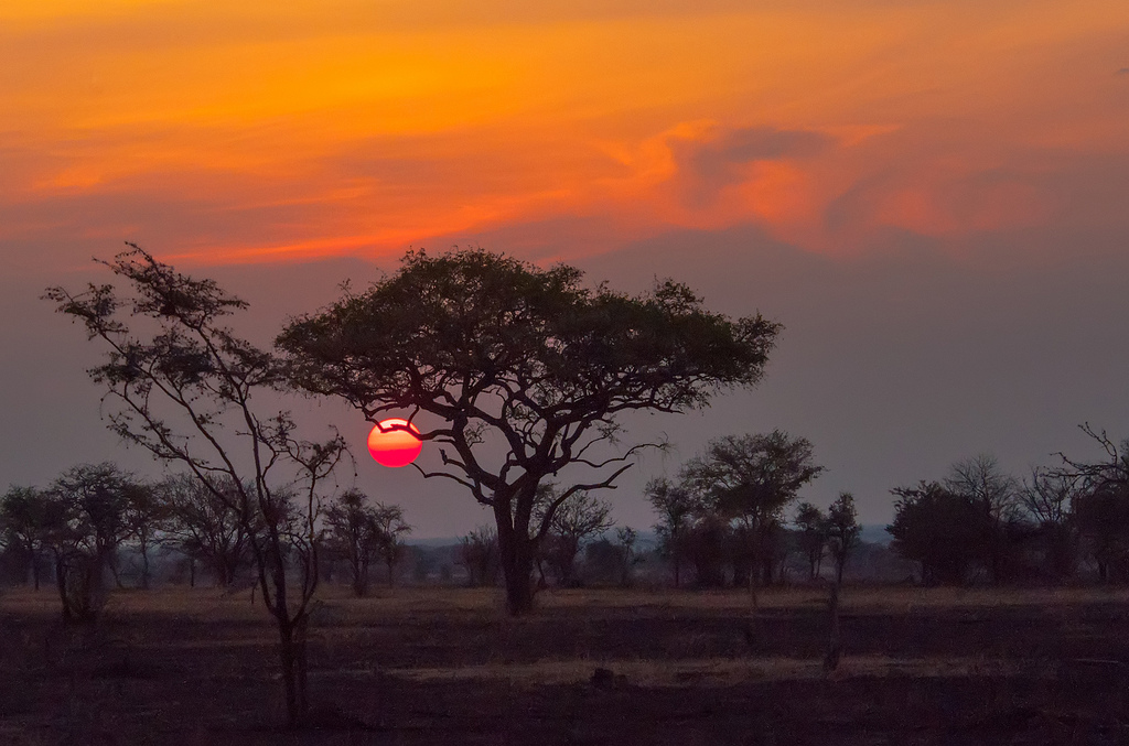 Utrustingsarbeid i Tanzania