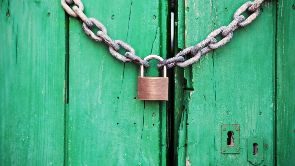 Maecenas ornare tortor