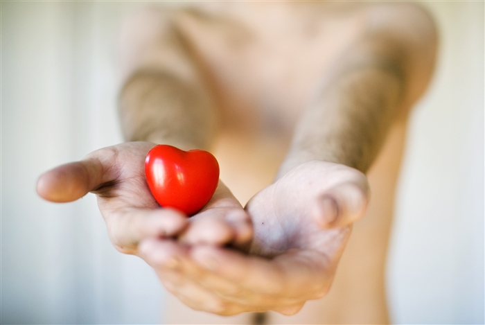 Organdonasjon