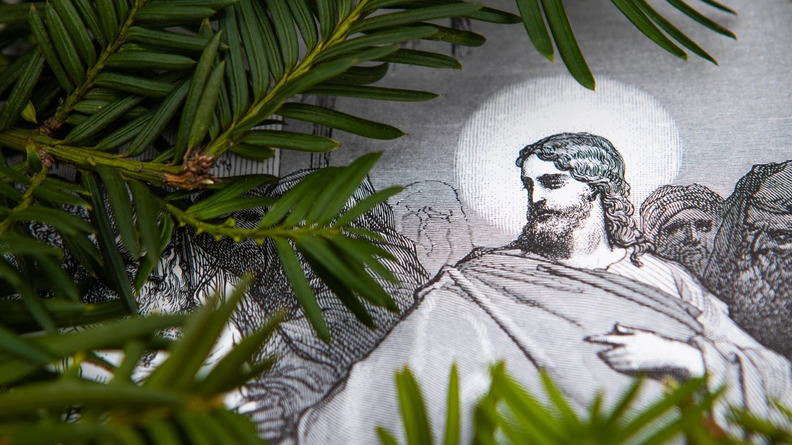 Følg Jesus i livet!