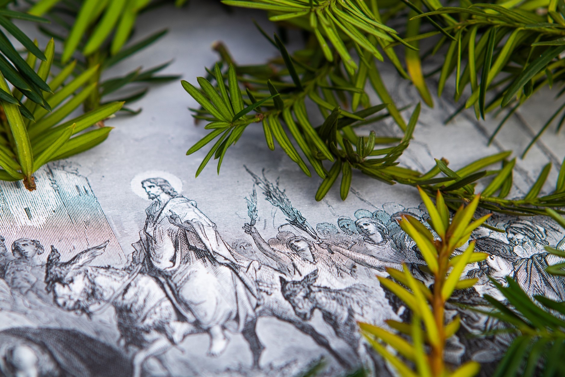 Det er fort gjort å tenke at livet bør tjene oss, men vi bør heller se på oss selv som tjenere