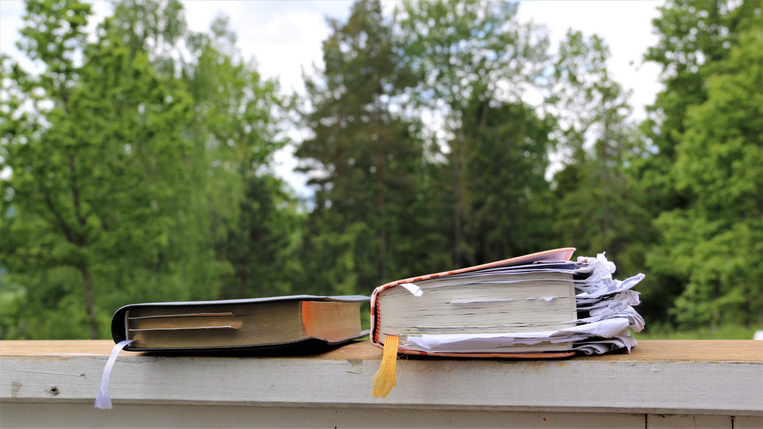 Skal en bibel se ubrukt eller megabrukt ut? Dette sier organisasjonene.