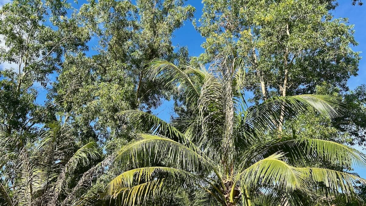 Et arbeid som bæres av forbønn