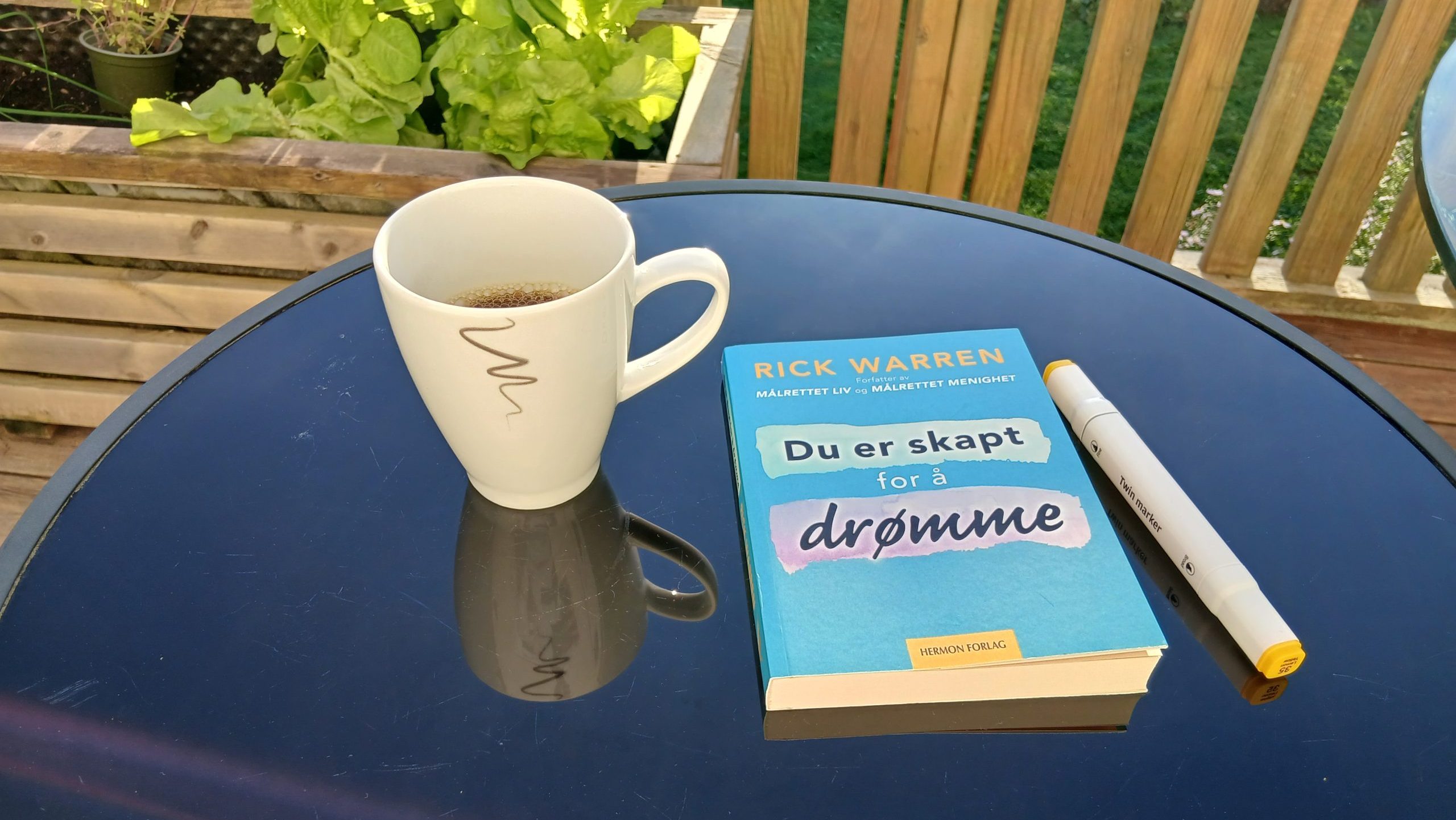 7 steg til å ta kloke valg (når du følger en drøm)